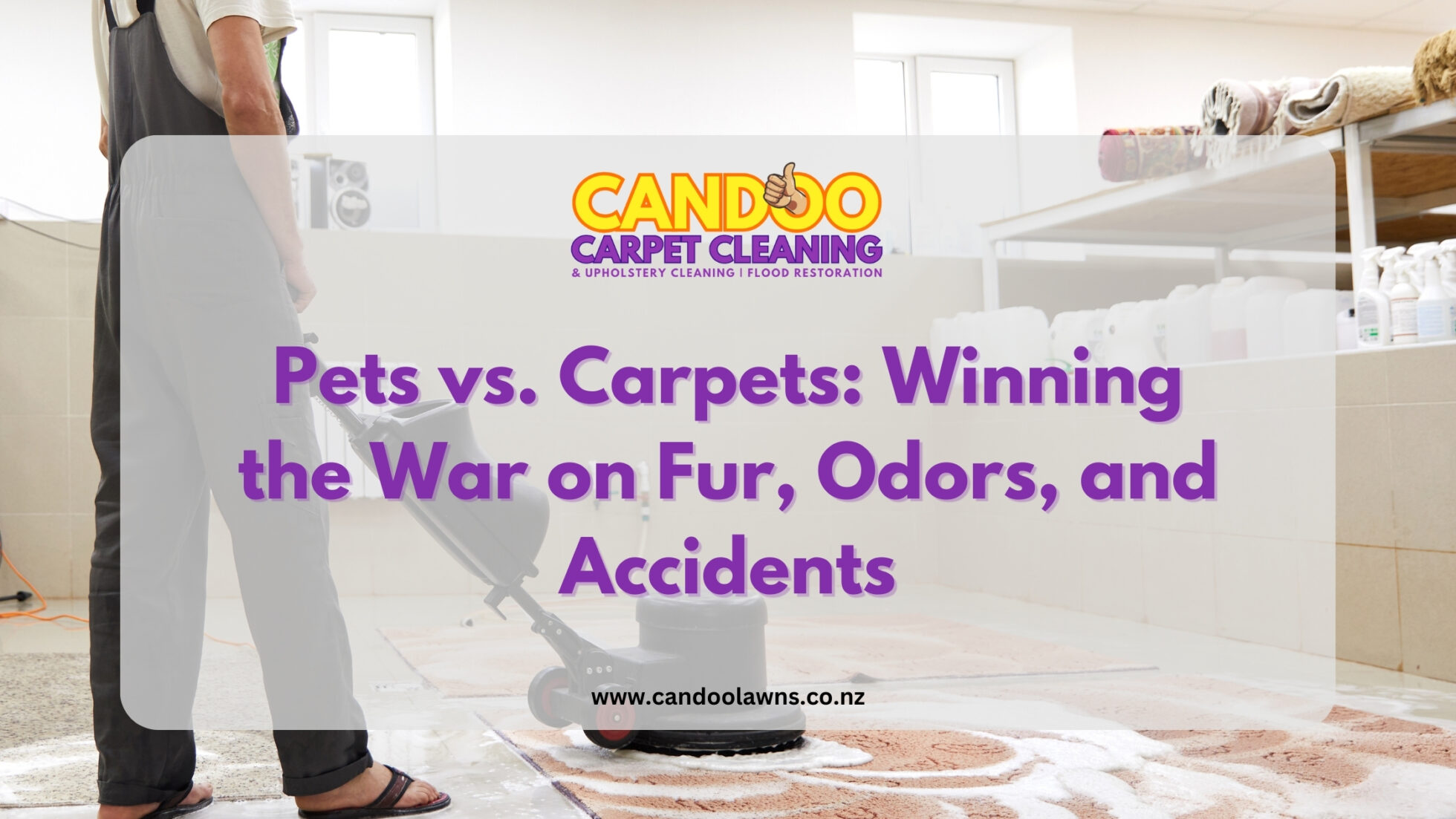 Pets vs. Carpets: Winning the War on Fur, Odors, and Accidents Pets vs. Carpets: Winning the War on Fur, Odors, and Accidents