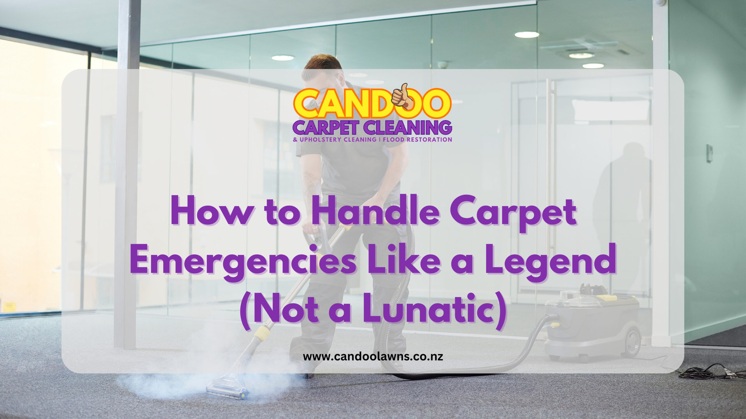Handle Carpet Emergencies